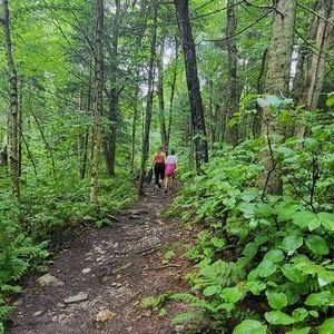 Meet your Posher, Janie